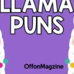 215+ Llama Puns That’ll Have You Wooly Laughing 
