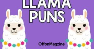 llama puns