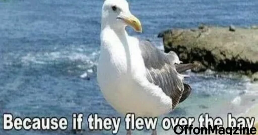183+ Seagull Puns & Jokes That’ll Make You Caw With Laughter 😂🕊️🌊