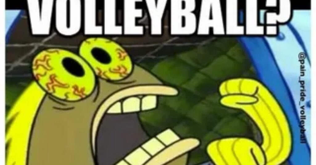 121+ Volleyball Puns That Will Spike Your Sense of Humor 